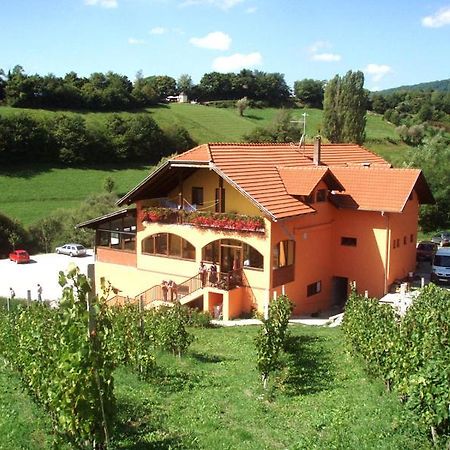 Klet Jana Bed & Breakfast Jastrebarsko Exterior photo