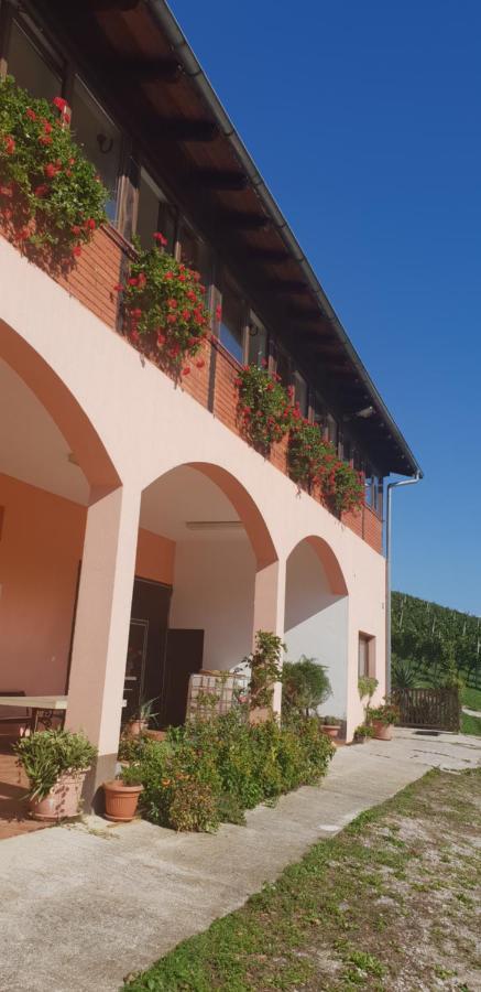 Klet Jana Bed & Breakfast Jastrebarsko Exterior photo