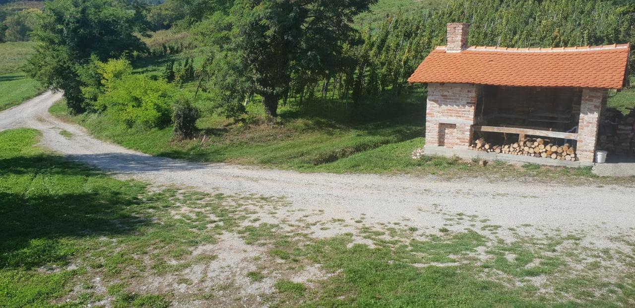 Klet Jana Bed & Breakfast Jastrebarsko Exterior photo